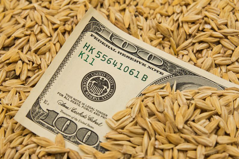 oat information